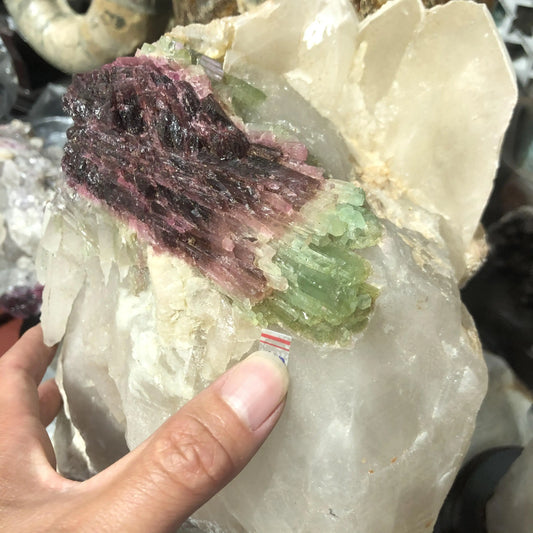 Wholesale High Quality Watermelon Tourmaline Specimen Healing Crystal Raw Stone Rough Gemstones for Decoration